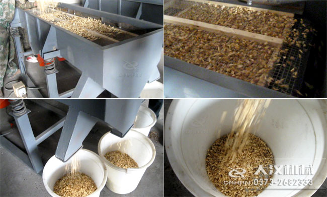 中藥材直線篩粉機使用現場